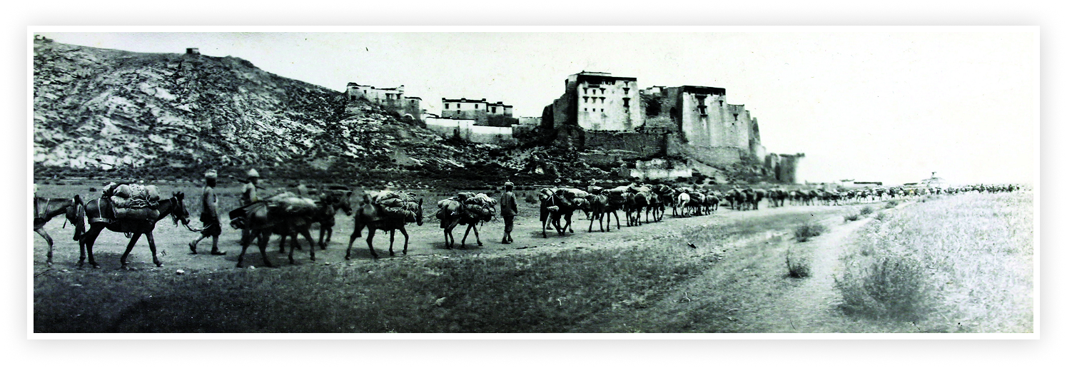 Mules and troops en route to Lhasa