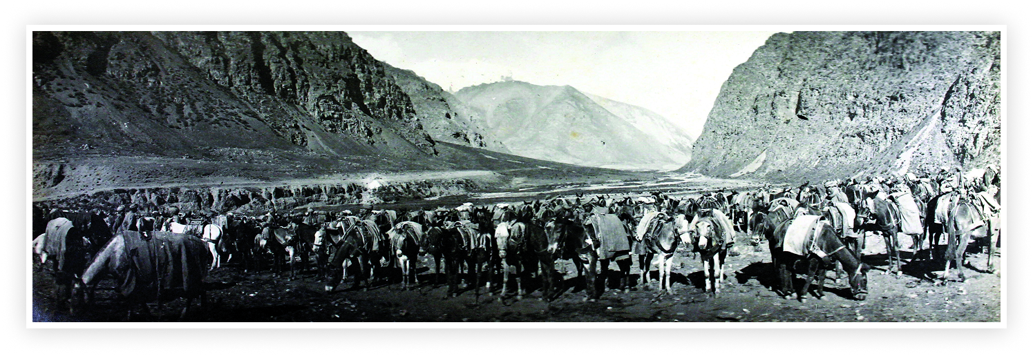 Mule trains